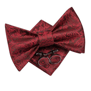 Burgundy Red Paisley Matching Tie Set (3pc) - Modern Mister